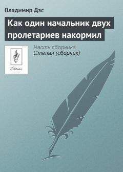 Николай Успенский - Деревенская газета