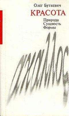 Борис Виппер - Введение в историческое изучение искусства