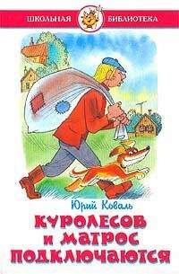 Юрий Коваль - Приключения Васи Куролесова
