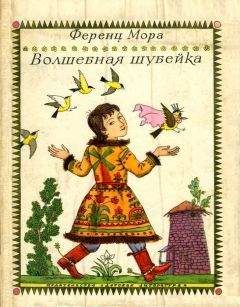 Елена Соковенина - Волшебная палочка госпожи Тендер, или Приключения дорогой редакции