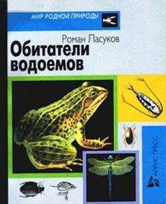 Роман Ласуков - Обитатели водоемов