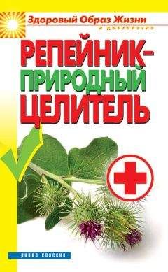 Татьяна Литвинова - Квас – целитель от 100 болезней. Более 50 целебных рецептов