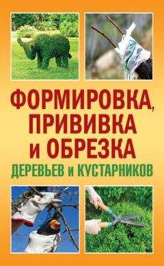 Дарья Князева - Лучшие цветы для вашего сада