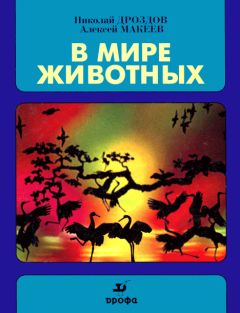 Николай Волокитин - Нарымские этюды