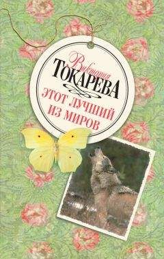 Виктория Токарева - Кошка на дороге (сборник)