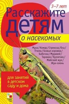 Э. Емельянова - Расскажите детям о грибах