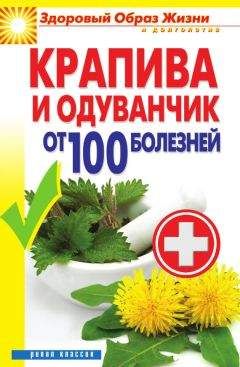 Виктор Зайцев - Крапива и одуванчик от 100 болезней