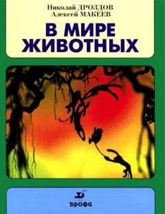 Николай Волокитин - Нарымские этюды