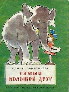 Софья Прокофьева - Не буду просить прощения (сборник)
