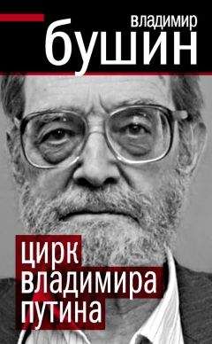 Владимир Бушин - Огонь по своим