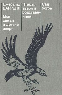 Винс Смит - Жизнь Софи