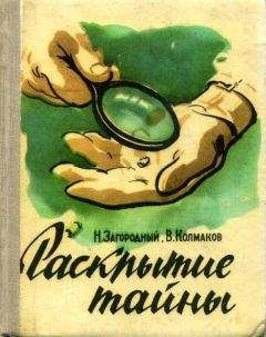 Валентин Домченко - В погоне за прибылью. Законы развития рынка и коммерческих фирм