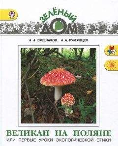 Плешаков Анатольевич - Великан на поляне или первые уроки экологической этики