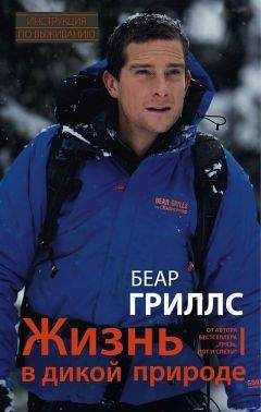 Сергей Кулик - Приключения капитана Кузнецова