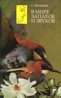 Николай Непомнящий - XX век. Хроника необъяснимого. Год за годом