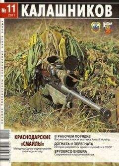 Юрий Пономарёв - Автомат или штурмовая винтовка?