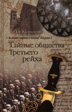 Андрей Васильченко - Загадочная экспедиция. Что искали немцы в Антарктиде?