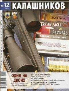 Евгений Александров - Возрождение «трёхлинейки» или современный инструмент снайпера?