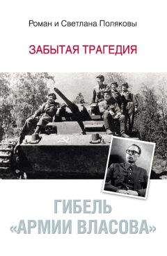 Иоахим Гофман - Власов против Сталина. Трагедия Русской освободительной армии, 1944–1945