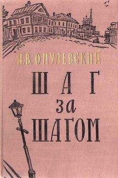 Иннокентий Омулевский - Без крова, хлеба и красок