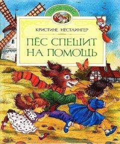 Александр Бурцев - Народный быт Великого Севера. Том I