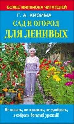 Галина Кизима - Щедрый огород, урожайный сад, яркий цветник: самые полные ответы на самые важные вопросы