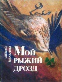 Андрей Малыгин - Зеркало, или Снова Воланд