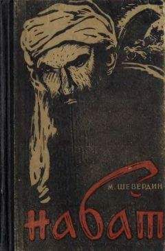 Михаил Шевердин - Набат. Книга первая: Паутина