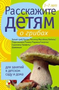 Э. Емельянова - Расскажите детям о достопримечательностях Москвы