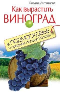 Галина Серикова - Виноград. Секреты чудо-урожая