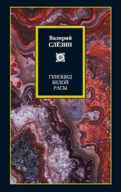 Валерий Слезин - Геноцид белой расы. Кризис Европы. Как спастись, как преуспеть