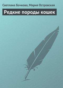 К. Угольников - Американский бульдог