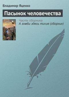 Владимир Афанасьев - На правах бреда