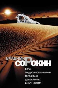 Владимир Сорокин - Моноклон (сборник)