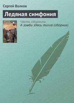 Сергей Волков - Генератор