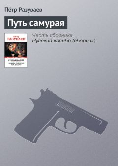 Евгений Щепетнов - Путь самурая