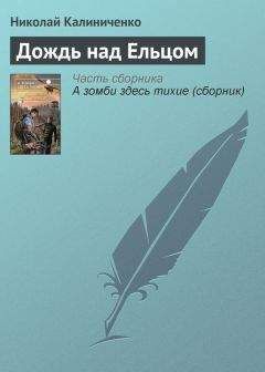 Николай Чадович - Визит инспектора