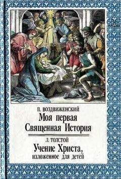 Владимир Левшин - Путевые заметки рассеянного магистра