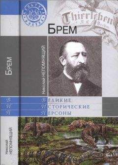 Николай Непомнящий - Великие пророки современности