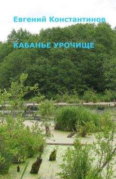 С. Ярославцев - Дьявол среди людей. Подробности жизни Никиты Воронцова (сборник)