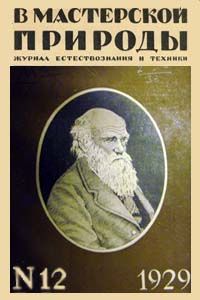 Константин Соловьёв - ГНИЛЬ