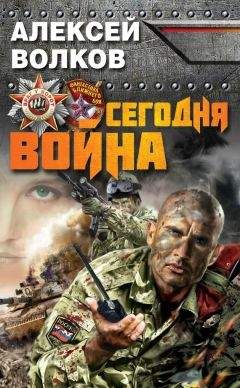 Федор Березин - Война 2010: Украинский фронт