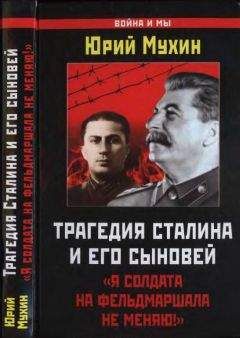 Юрий Мухин - Трагедия Сталина и его сыновей