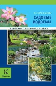 Сергей Кашин - Садовая мебель своими руками. Дешево, практично, стильно