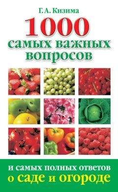 Галина Кизима - Большая энциклопедия садовода-огородник от А до Я