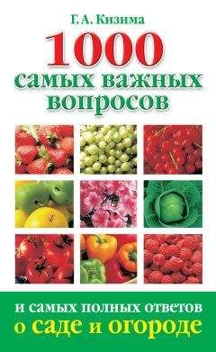 Галина Кизима - Цветник для ленивых. Цветы от последнего снега до первых морозов