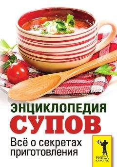 Виктория Карпухина - Большая энциклопедия специй, приправ и пряностей