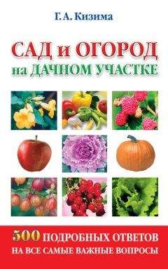 Галина Кизима - Практическая энциклопедия огородника и садовода. 1000 самых важных вопросов и самых полных ответов о саде и огороде
