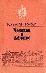 Бэзил Дэвидсон - Новое открытие древней Африки