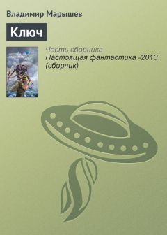 Владимир Круковер - Мальчик из неизвестно откуда